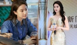 娱乐圈女的最新爆料事件,揭秘背后惊人真相