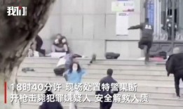 陈美娟维权案爆料视频,揭露背后真相，正义终将到来