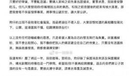 爆料娱乐新闻稿,明星恋情曝光，幕后真相令人震惊